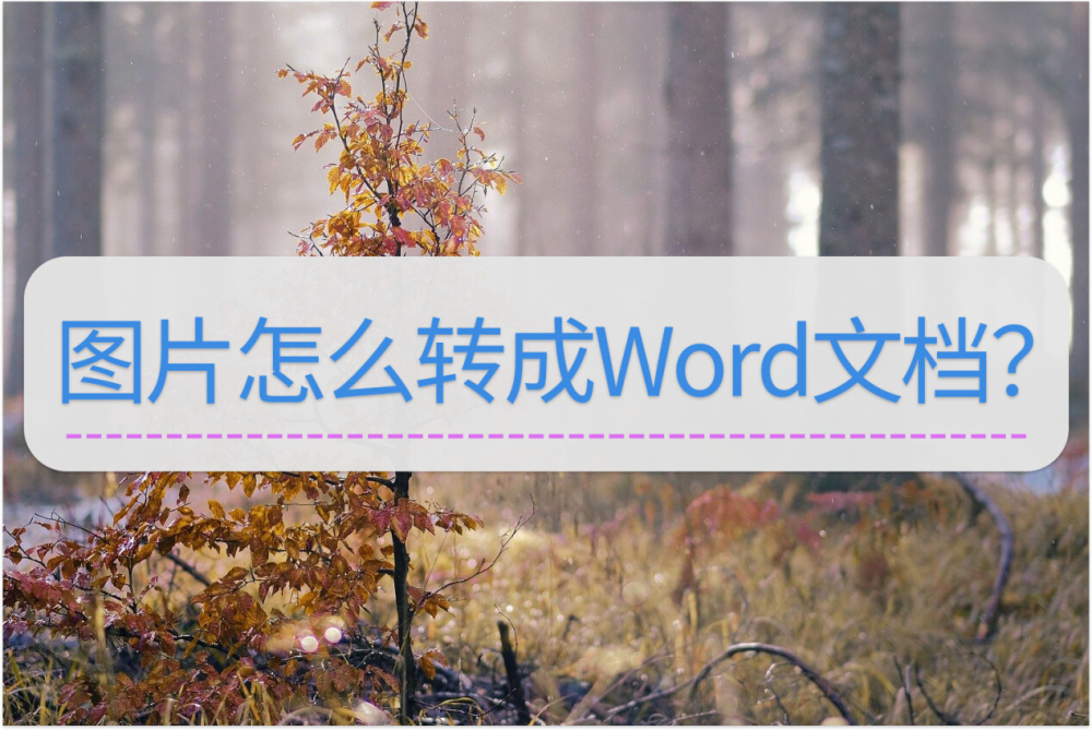 图片怎么转成Word文档？分享你个手机操作的方案