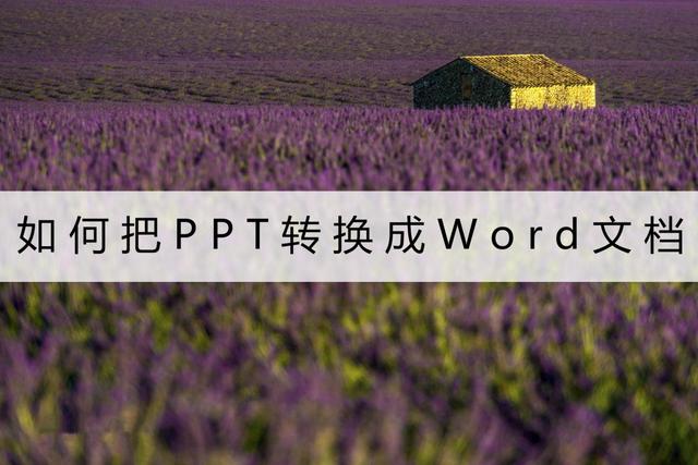 如何把PPT转换成Word文档？你可以试试这两招